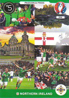 Passion & Pride Northern Ireland Panini UEFA EURO 2016 #224